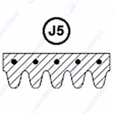 Ремень 1252 J5 Bosch 439491 (72125200)